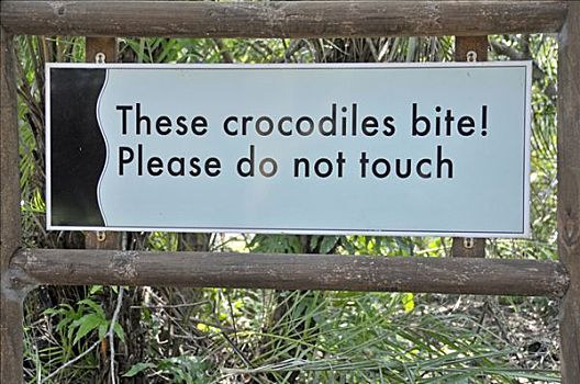 警告标识,鳄鱼,咬,圣露西亚,中心,南非,非洲