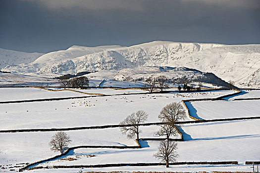 农田,山,积雪,靠近,坎布里亚,英格兰