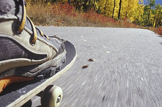 动态,滑板,路,小路,卡纳纳斯基斯县,加拿大,艾伯塔省