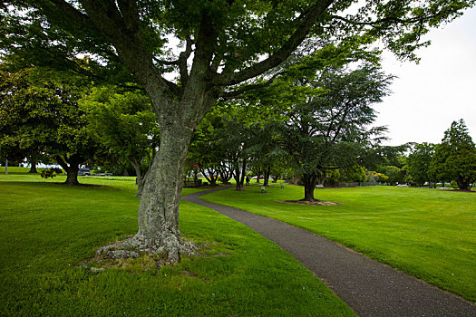 新西兰罗托鲁阿市政公园