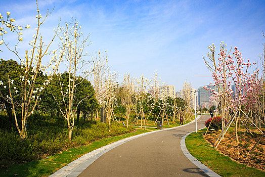 道路,地面,天空