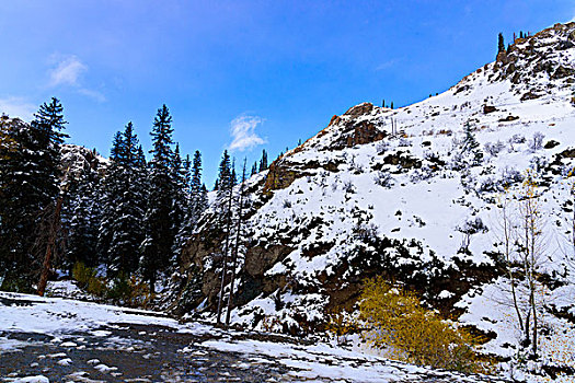 东天山雪景美如画