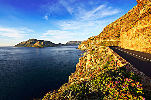 沿岸,道路,查普曼峰,开普敦,西海角,南非,非洲