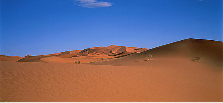 沙漠,摩洛哥