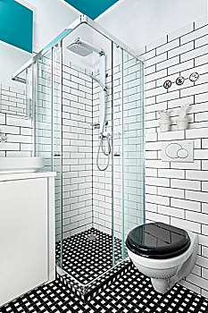 现代,浴室,淋浴,卫生间,黑白,彩色