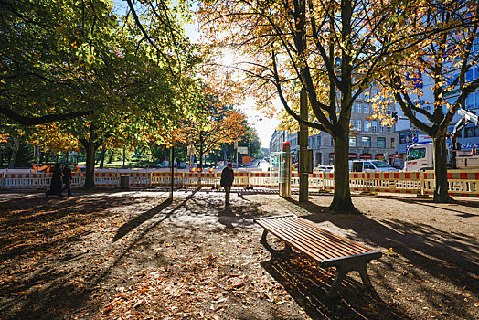 德国不莱梅城市公园里的小树林,清晨的公园街道
