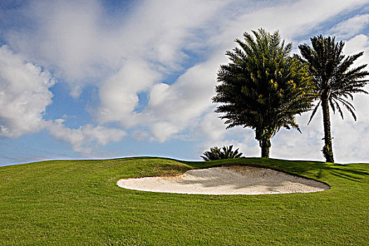 沙坑,高尔夫球场,迈阿密海滩,佛罗里达,美国