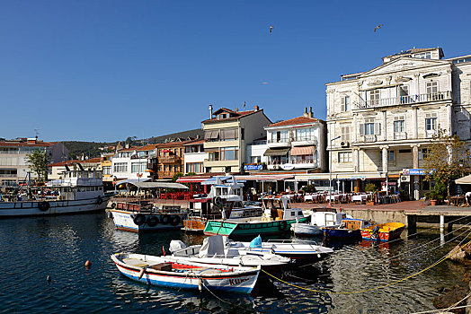 渔港,王子,岛屿,伊斯坦布尔,亚洲,省,土耳其