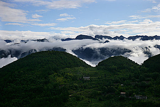 巫溪云台山清晨雨过天晴的云雾