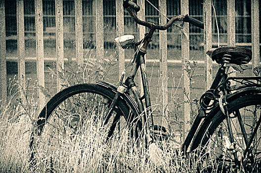 旧式,自行车