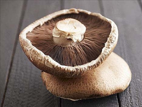 两个,波多白洛大蘑菇,蘑菇