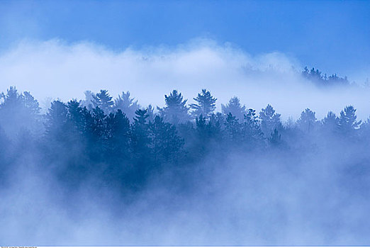 薄雾,上方,安大略省,加拿大