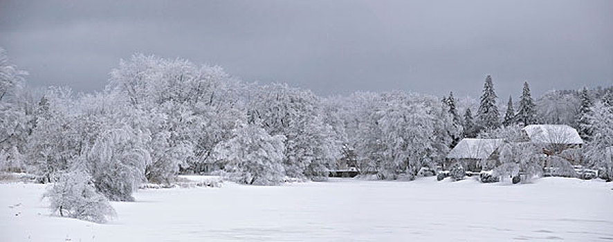 冬季风景,滑铁卢,魁北克,加拿大