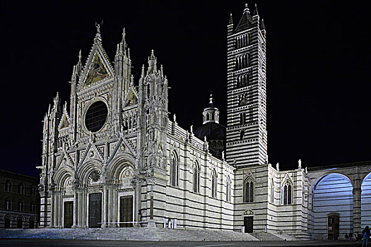 大教堂,圣母升天教堂,夜晚,锡耶纳,托斯卡纳,意大利,欧洲