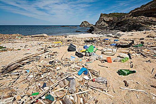 垃圾,海滩,萨丁尼亚,意大利,欧洲