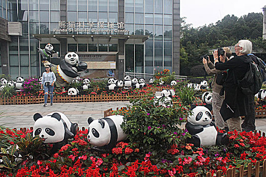 大熊猫的家园