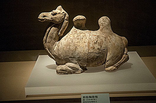 西安博物馆文物藏品彩绘陶卧驼