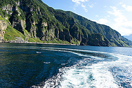 绿色,山,靠近,水,北海道,日本