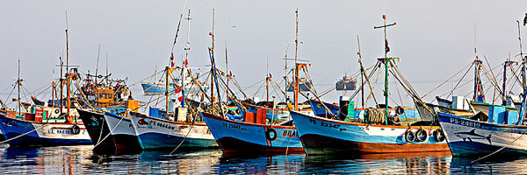 渔船,港口,帕拉加斯,秘鲁