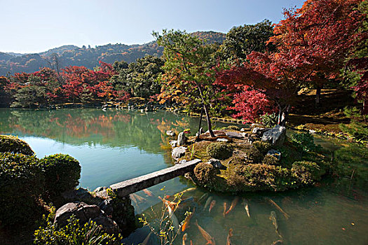 水塘,日式庭园,庙宇,京都,日本