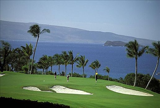 夏威夷,毛伊岛,高尔夫球场,人,打高尔夫,莫洛基尼岛,背景