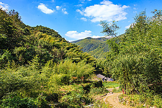 鄞州,塘溪镇,黄泥岭古道,山路,山林