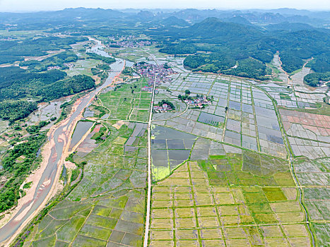 江西金溪,山村田园美