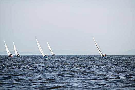 帆船,英吉利湾,温哥华