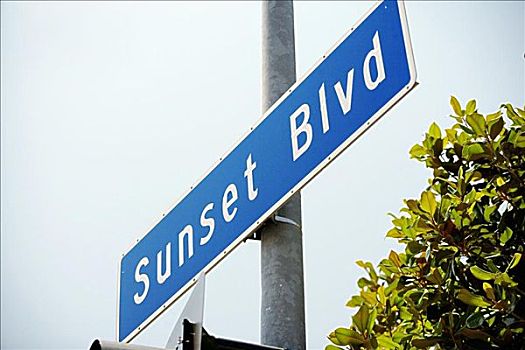 仰视,日落,大道,标识,洛杉矶,加利福尼亚,美国