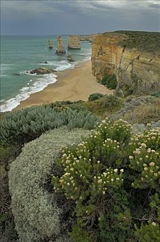 十二使徒岩,海洋,道路,维多利亚,澳大利亚