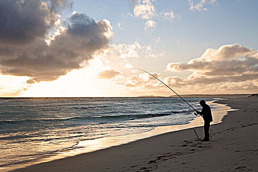 澳大利亚,西澳大利亚州,男人,海滩,钓鱼,十一,英里,日落