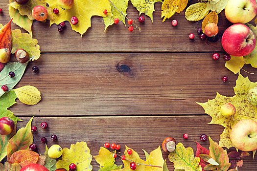 框,秋叶,水果,浆果,木头