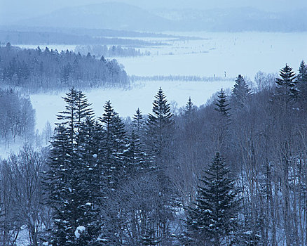 湖,冬季风景