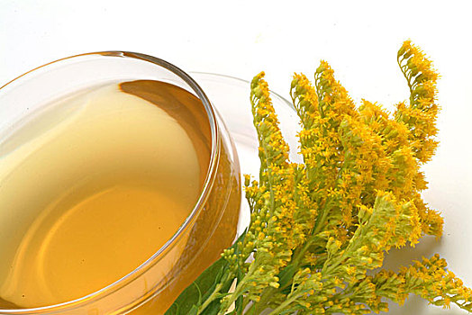 茶,药茶,药草,药用,使用,一枝黄花属植物