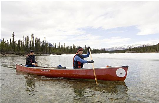 独木舟浆手,河,育空地区,加拿大