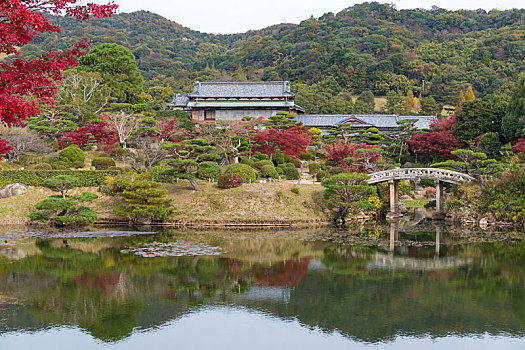 日本,漂亮,花园,秋天