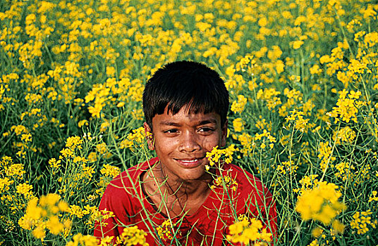 头像,男孩,芥末,地点,孟加拉,2007年