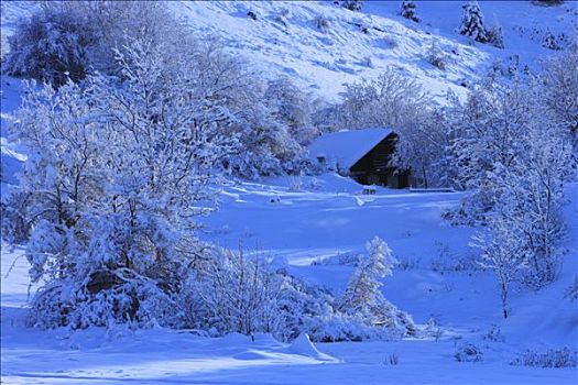 法国,上阿尔卑斯省,积雪,景色,木房子