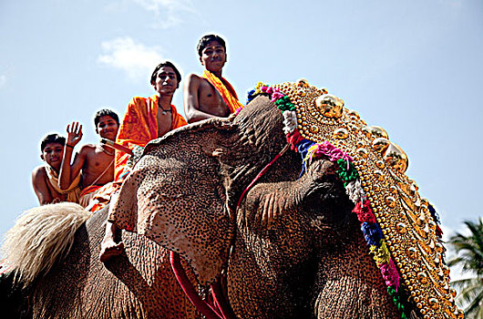 印度,年轻,牧师,神圣,大象