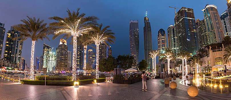 光亮,棕榈树,夜景,迪拜,码头,阿联酋,亚洲