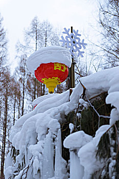 二合舒兰雪乡玉米