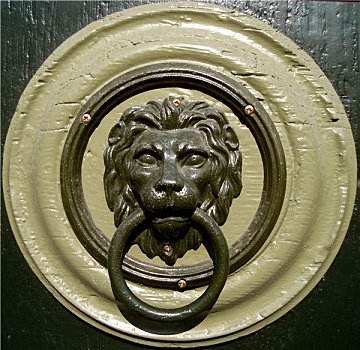 敲,狮子,门