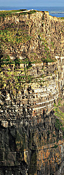 陡峭,岩石,莫赫悬崖,靠近,杜林,克雷尔县,爱尔兰