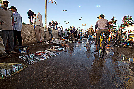 摩洛哥,苏维拉,传统,渔港,鱼市,文化,历史,流行,旅游,本地人,游客,相似