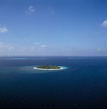 菠萝,岛屿,马尔代夫
