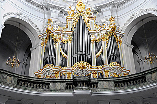 琴乐器,大教堂,天主教,霍夫教堂,德累斯顿,德国,欧洲