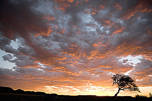 日落,北开普,南非