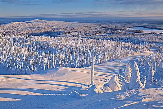 积雪,风景,库萨莫,北方,芬兰