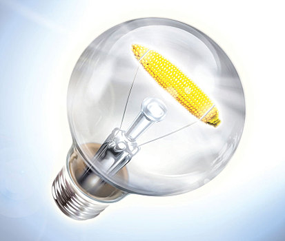 插画,图像,电灯泡,玉米棒,能量