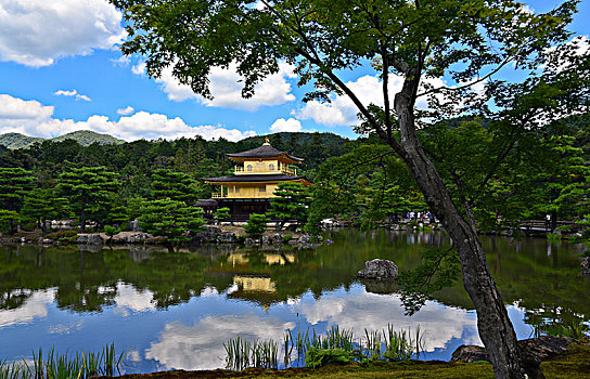 日本金阁寺